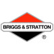 Двигатели Briggs-Stratton в Брянске